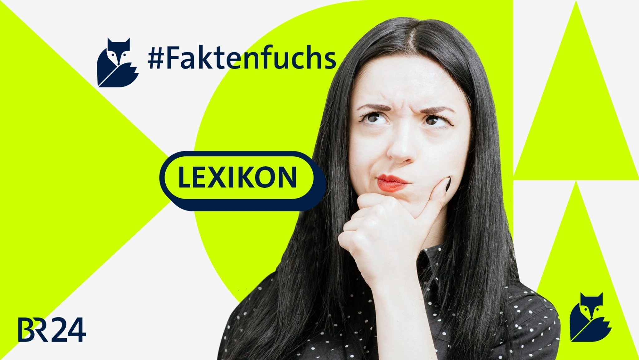 #Faktenfuchs-Lexikon: Wichtige Begriffe für den Faktencheck